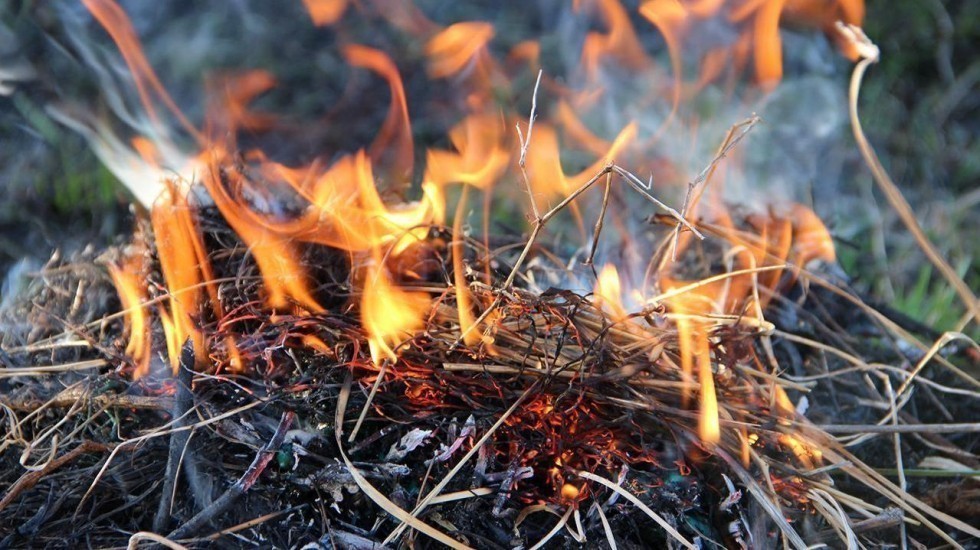 МЧС РК предупреждает о чрезвычайной пожарной опасности на 3-5 мая по Республике Крым