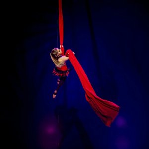 Выступление цирка Юрия Никулина #14565