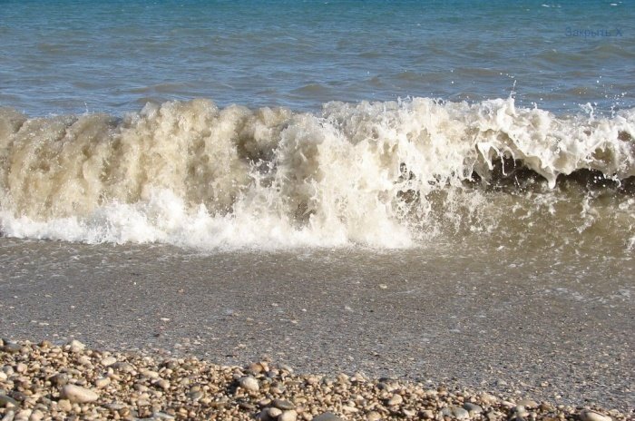 Эксперты получили результаты биологического анализа стоков с пляжа Коктебеля