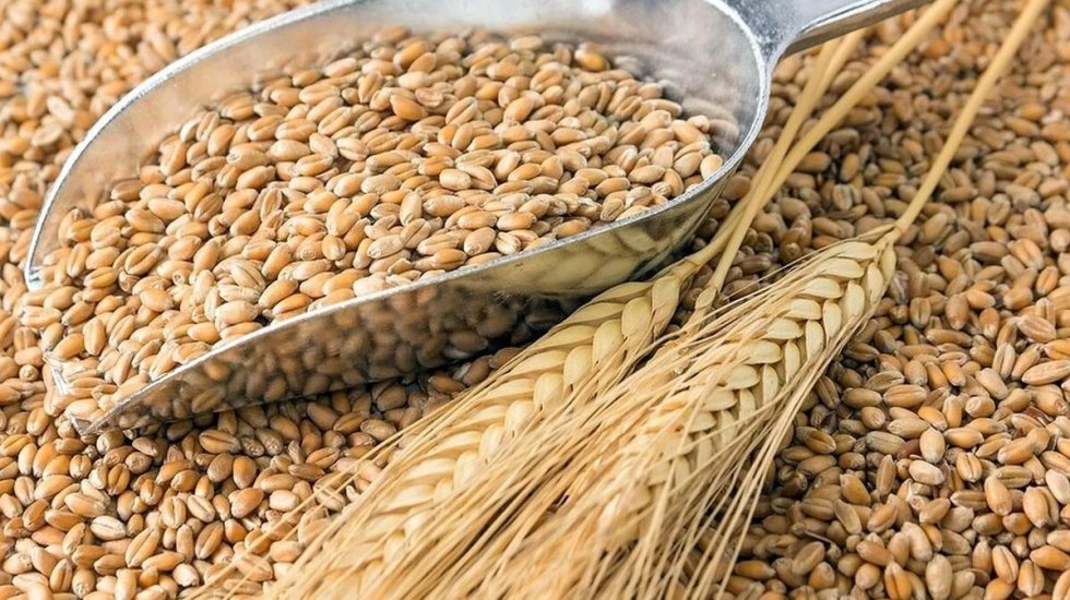 Андрей Рюмшин: Крымские хлеборобы собрали миллион тонн зерна и фактически завершили уборочную кампанию ранних зерновых культур