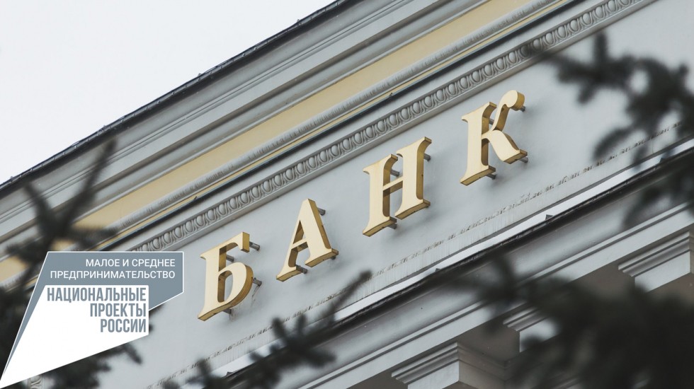 Ирина Кивико: С начала года общая сумма по льготным кредитам в рамках государственных программ для МСП достигла 5,7 млрд рублей