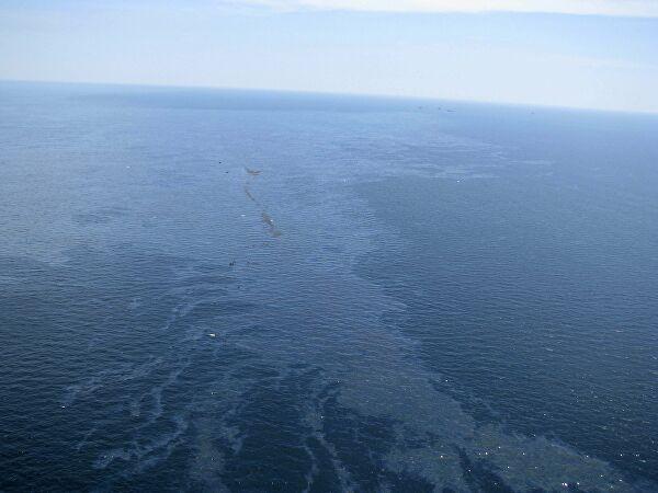 Большое нефтяное пятно нашли у берегов Крыма в Черном море
