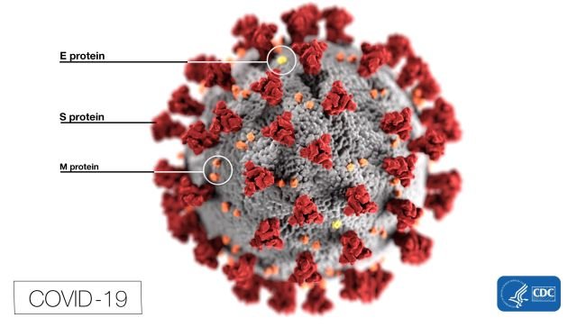 Ученые рассказали, почему при коронавирусе не чувствуются запахи