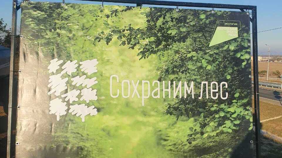 Минприроды Крыма организовало мероприятие по высадке лесных насаждений в поселке ГРЭС