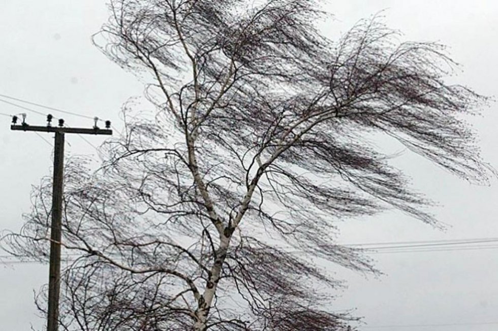 Феодосийский регион пострадал из-за сильного ветра