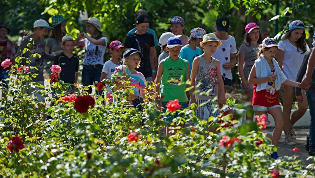 Крымские лагеря смогут принимать на отдых детей с конца мая - указ