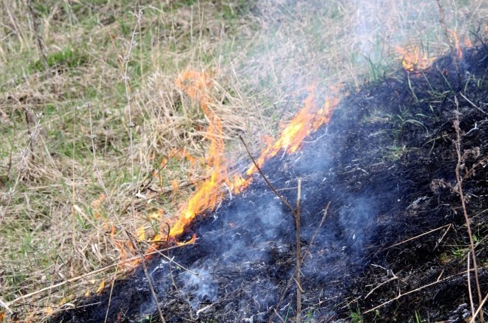 Масштабный пожар под Феодосией произошел из-за мангала