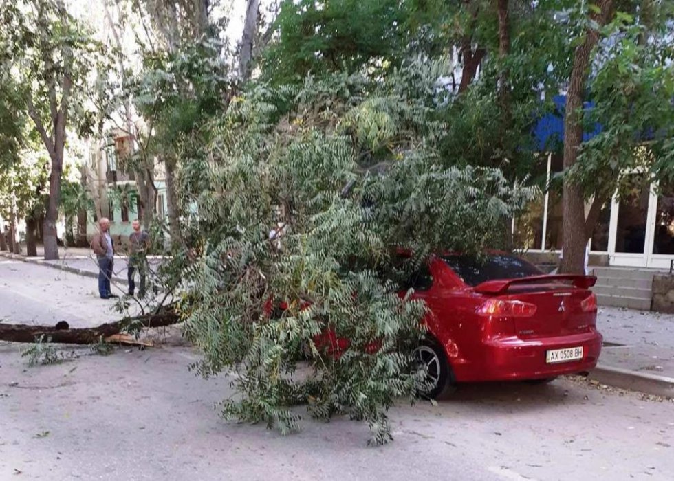 В районе Морсада дерево упало на автомобиль