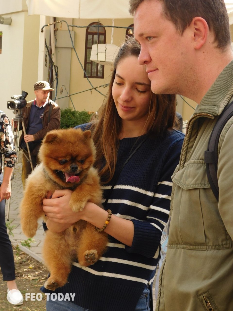 Выставка собак КРАСА КАФЫ в Феодосии #5100