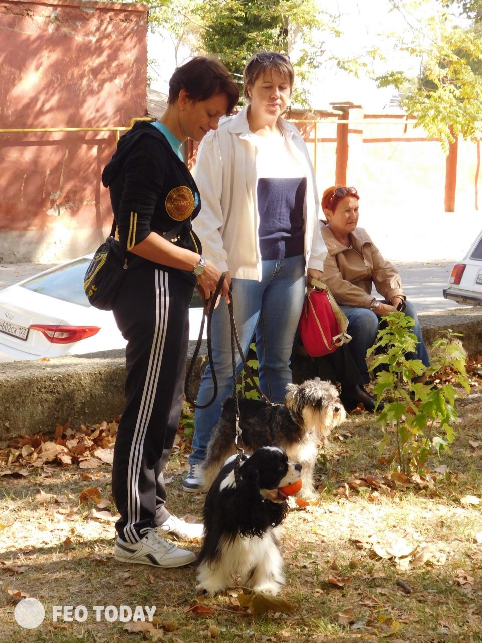 Выставка собак КРАСА КАФЫ в Феодосии #5069