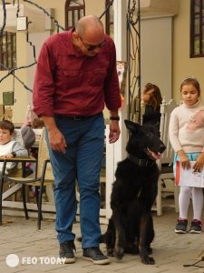Выставка собак КРАСА КАФЫ в Феодосии #5136