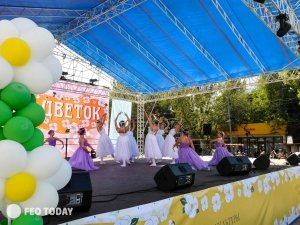 Фото акции БЕЛЫЙ ЦВЕТОК в Феодосии #4774