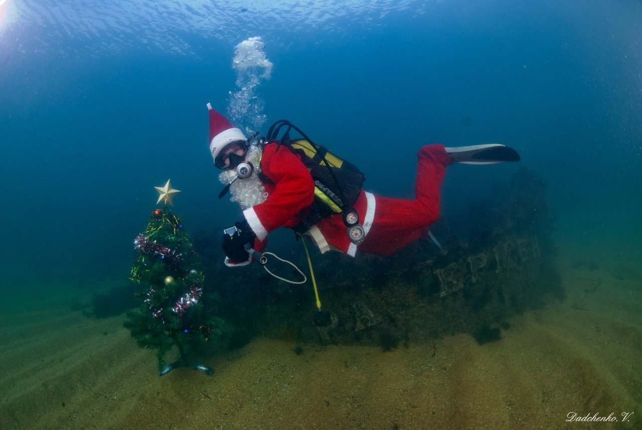 Фото новогодней елки на дне моря в Феодосии #6385