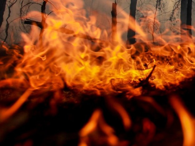 Чрезвычайная пожарная опасность сохранится в Крыму до средины следующей недели