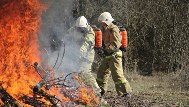 Устинов раскритиковал работу властей Крыма по предотвращению пожаров