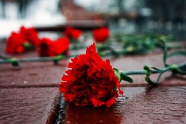 Останки погибших в годы Великой Отечественной войны 66 красноармейцев найдены в Керчи в текущем году