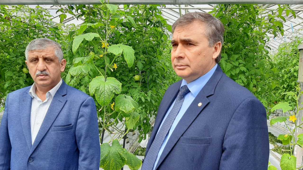 Андрей Рюмшин: За три месяца 2021 года крымские сельхозтоваропроизводители собрали более 1445 тонн томатов закрытого грунта
