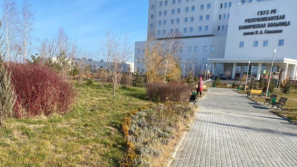 2000 кустов лаванды украсят территорию новой больницы имени Н. А. Семашко – Андрей Рюмшин