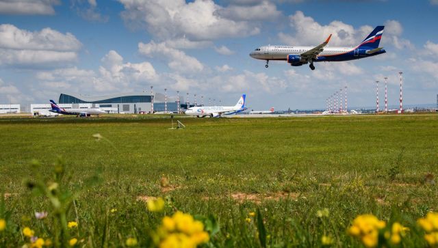 Новый рекорд: в июне аэропорт Симферополь обслужил свыше 260 рейсов