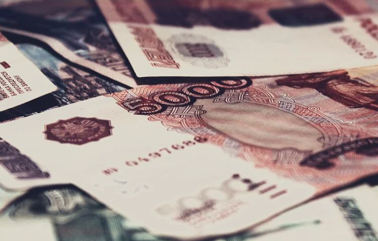 Названы самые высокооплачиваемые профессии в Крыму