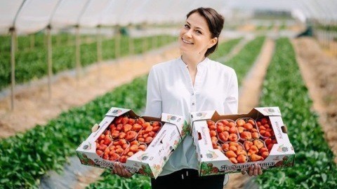 Пять крымских производителей плодово-ягодных культур заслужили статус «Лучшее Предприятие России 2020» - Андрей Рюмшин