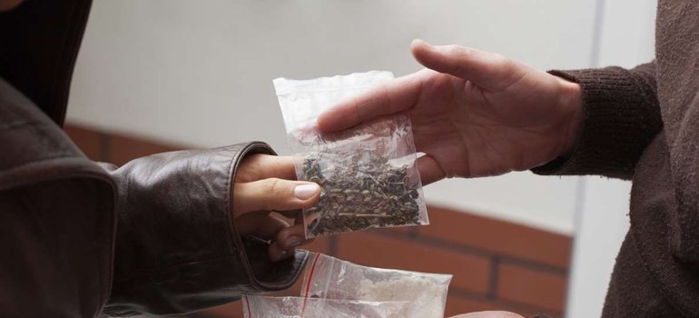 Задержан житель Феодосии по подозрению в сбыте марихуаны