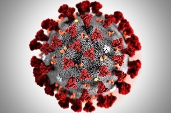 В Минздраве рассказали, когда распространение коронавируса может пойти на спад