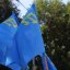 В Феодосии состоялись праздничные мероприятия, посвященные Дню крымскотатарского флага