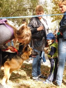 Выставка собак КРАСА КАФЫ в Феодосии #5172