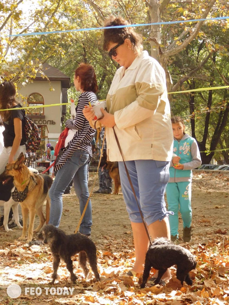 Выставка собак КРАСА КАФЫ в Феодосии #5171
