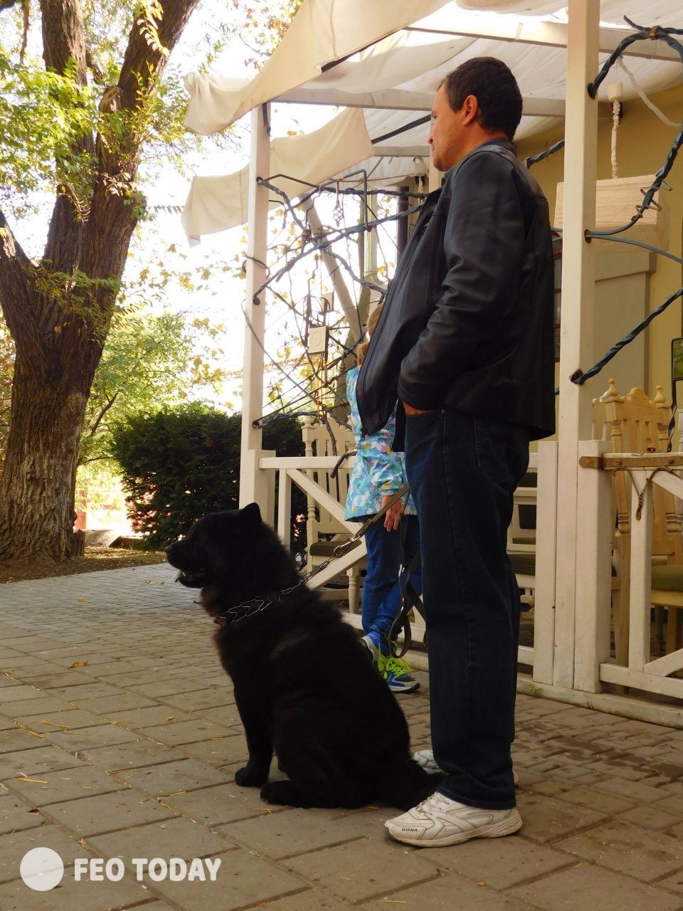 Выставка собак КРАСА КАФЫ в Феодосии #5017