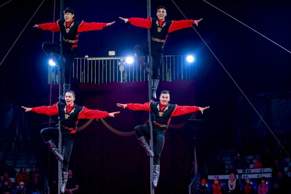 Выступление цирка Юрия Никулина #14566