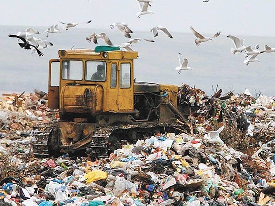 В России «мусорную реформу» отложили еще на три года