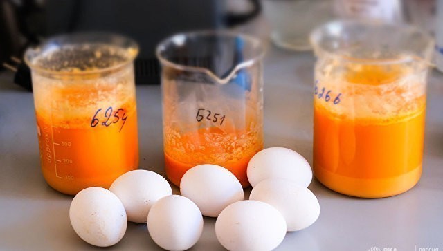 Диетолог развенчал главный миф о куриных яйцах