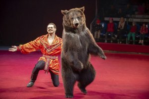 Выступление цирка Юрия Никулина #14583