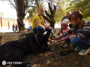 Выставка собак КРАСА КАФЫ в Феодосии #5086