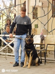 Выставка собак КРАСА КАФЫ в Феодосии #5138