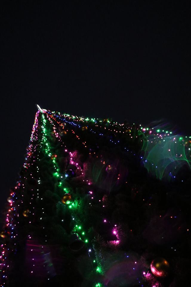 Фото торжественного открытия новогодней ёлки в Феодосии #6297